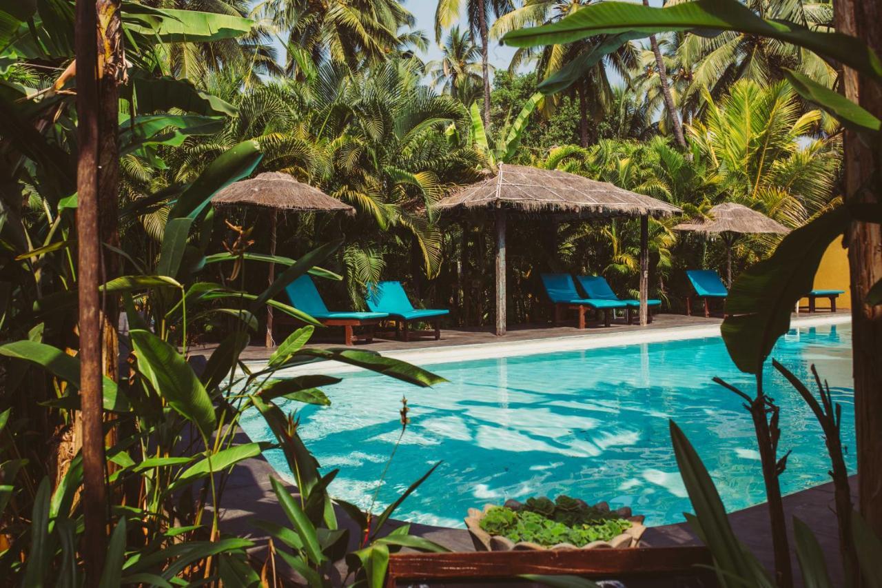 Devarya Wellness Beach Resort Morjim Εξωτερικό φωτογραφία