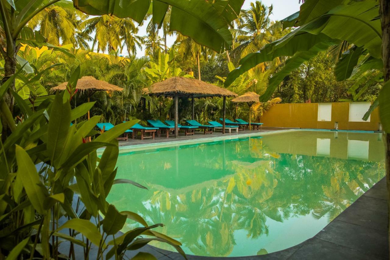 Devarya Wellness Beach Resort Morjim Εξωτερικό φωτογραφία